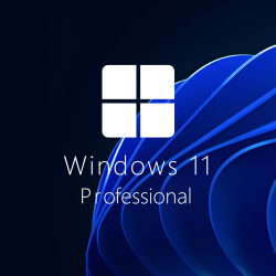 Buy Microsoft Windows 11 Pro 64-bit in Română - USB Retail Version