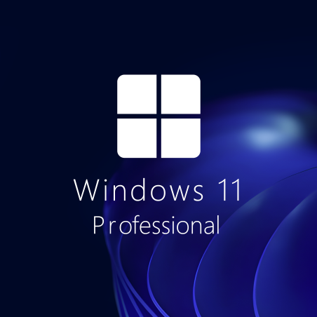 Buy Microsoft Windows 11 Pro 64-bit in Română - USB Retail Version