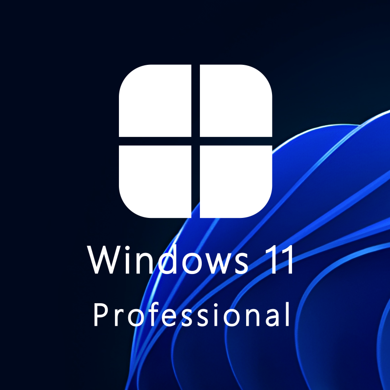 Buy Microsoft Windows 11 Pro 64-bit in Română - USB Retail Version
