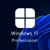 Buy Microsoft Windows 11 Pro 64-bit in Română - USB Retail Version