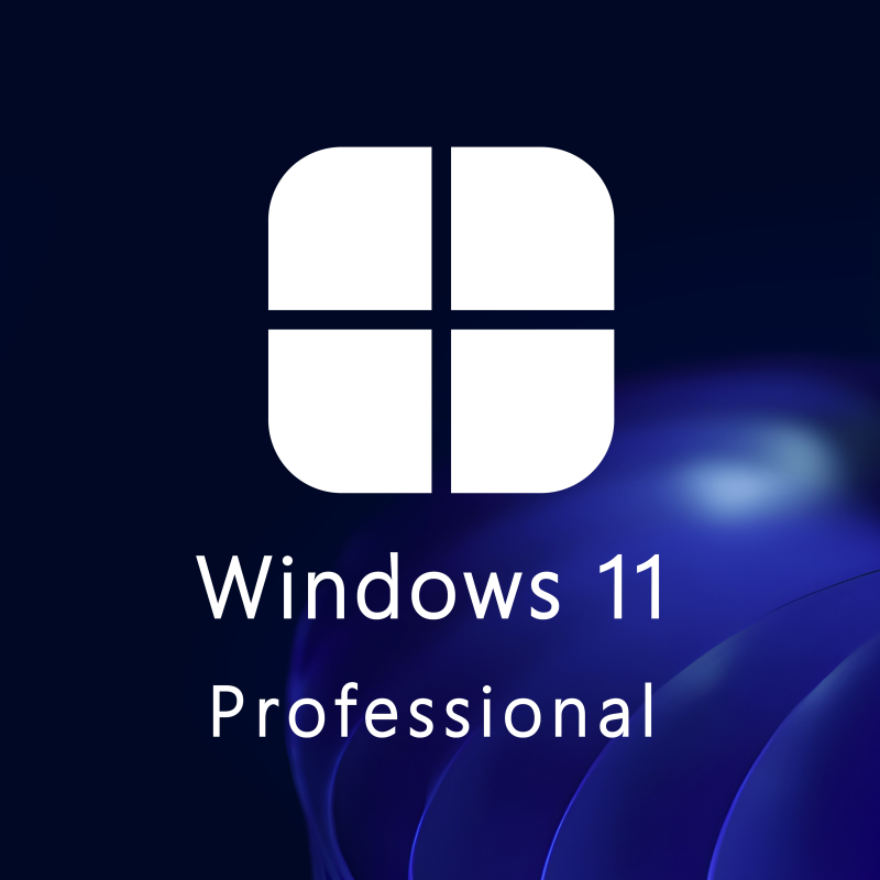 Buy Microsoft Windows 11 Pro 64-bit in Română - USB Retail Version