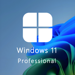 Buy Microsoft Windows 11 Pro 64-bit in Română - USB Retail Version