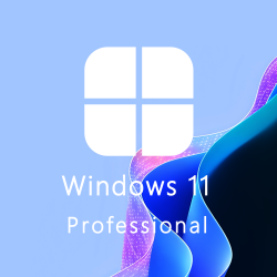 Buy Microsoft Windows 11 Pro 64-bit in Română - USB Retail Version