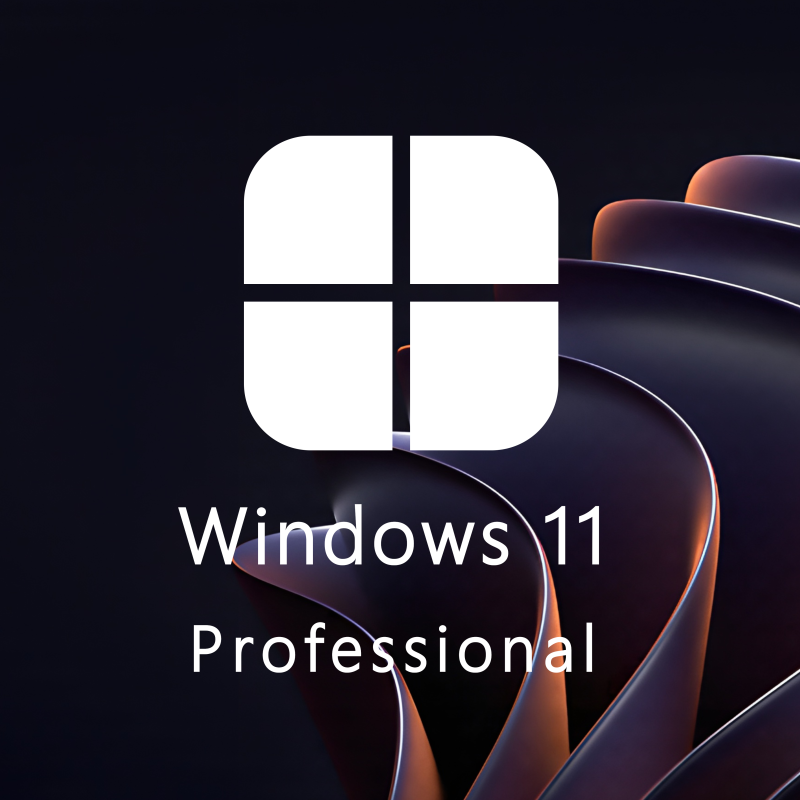 Buy Microsoft Windows 11 Pro 64-bit in Română - USB Retail Version