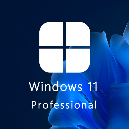 Buy Microsoft Windows 11 Pro 64-bit in Română - USB Retail Version