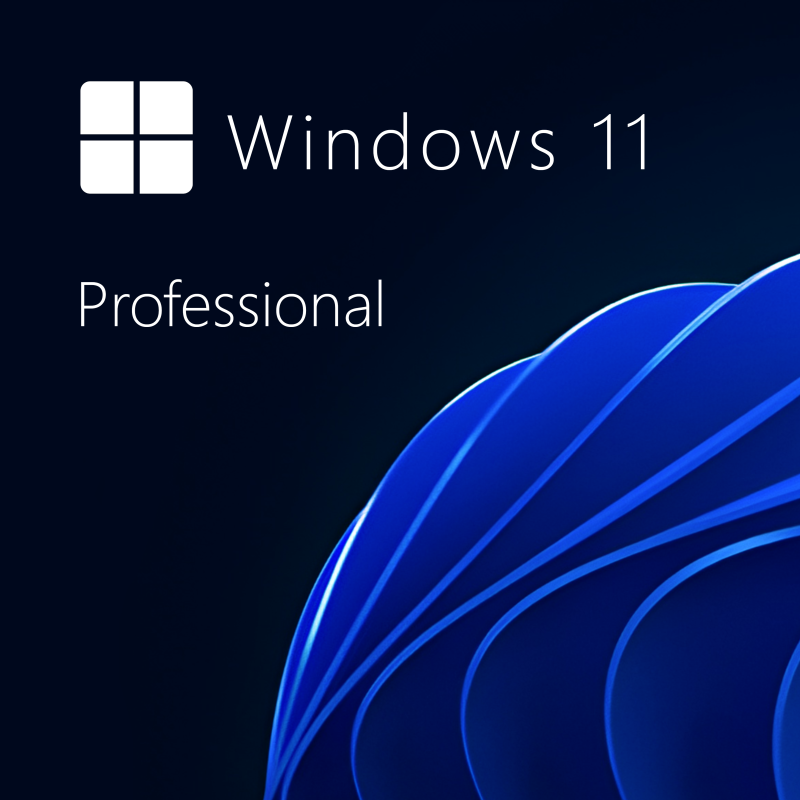 Microsoft Windows 11 Pro 64-bit in Română - USB Retail Version