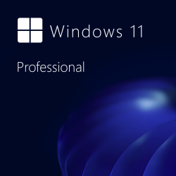 Buy Microsoft Windows 11 Pro 64-bit in Română - USB Retail Version