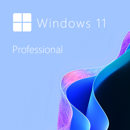 Buy Microsoft Windows 11 Pro 64-bit in Română - USB Retail Version
