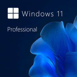 Buy Microsoft Windows 11 Pro 64-bit in Română - USB Retail Version