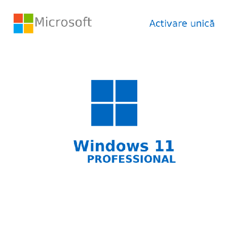 Buy Microsoft Windows 11 Pro - Original License with USB | Best Price