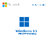 Buy Microsoft Windows 11 Pro - Original License with USB | Best Price