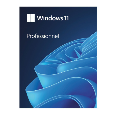 Buy Microsoft Windows 11 Pro - Original License with USB | Best Price