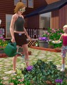 The Sims 3 + Showtime DLC EA App CD Key