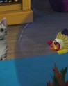 The Sims 3 Експанзионен пакет За домашни любимци EU EA App CD ключ
