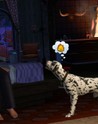 The Sims 3 Pets Expansion Pack Cheie CD EA App EU