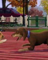 The Sims 3 Експанзионен пакет За домашни любимци EU EA App CD ключ
