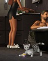 The Sims 3 - Pets Expansion Pack EU EA App CD Key